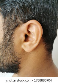 Adult Man Ear. Ear Seen From The Side. Earlobe And Wheel