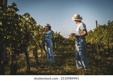 Adult man farmer work and analysis quality on clipboard in the vineyard - Powered by Shutterstock