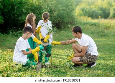 2,651 Teachers day tree Images, Stock Photos & Vectors | Shutterstock