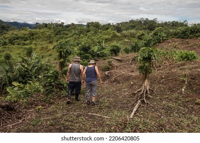 Adult Man And Older Adult Woman Walking In The Middle Of Green Vegetation And Trees On A Cloudy Morning