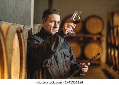 Adult man winemaker at winery checking glass looking quality while standing between the barrels in the cellar controlling wine making process - real people traditional and industry wine making concept