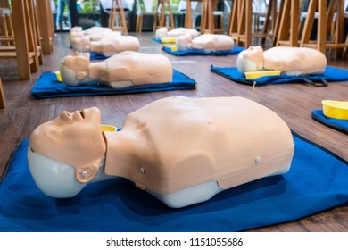 adult manikin CPR training in hospital,item - Powered by Shutterstock