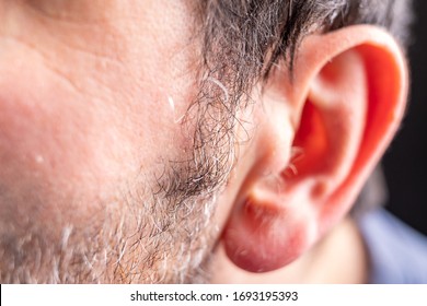Adult man's sideburns. Men's face with stubble. Dark background.