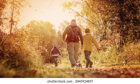 Adult Men, Children And Small Dog Hiking In The Forest In September