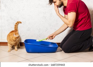 Adult Person's Hand Removing And Cleaning Cat Litter Box From Clumps Of Cat Urine And Feces