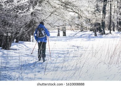 Adult Skier Turning Back To Camera Following Trail Under Trees Full Of Ice Crystals Falling Down On A Frosty Sunny Day