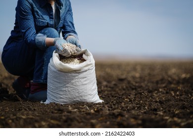 Adult woman applying fertilizer plant food to soil. Fertilizer and agriculture industry, development, economy and Investment growth concept. - Shutterstock ID 2162422403