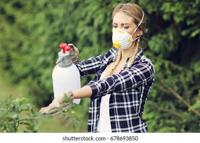 Adult woman spraying plants in garden to protect from diseases