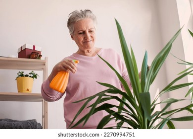 Adult Woman takes care of the home flowers and is using spray of water on relaxing day in the garden at home. Smiling female hand spray on leave plants using spray bottle watering houseplants - Powered by Shutterstock
