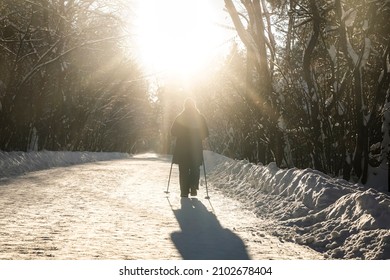 Adult Woman In Winter Sportswear With Sticks For Nordic Walking On Winter Landscape City Park Background, Back View. Mature Woman Doing Exercise Outdoors. Winter Sport Healthy Lifestyle Concept.