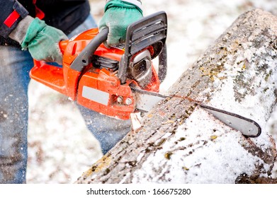 Adult worker cutting trees with chainsaw and tools - Powered by Shutterstock