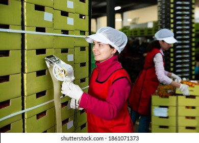 Adult workwoman of fruit warehouse sticking labels on carton boxes with fresh ripe fruits