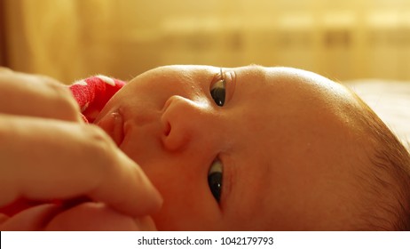 Adult's hand stroking newborn baby girl's face, close-up shot