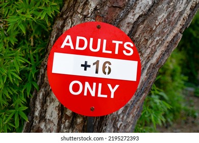 Adults Only Sign 16 Hanging On A Tree