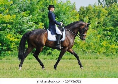 Advanced Dressage test: collected trot