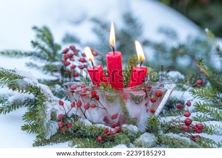 Similar – Image, Stock Photo Advent in the forest…