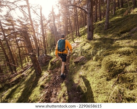 Adventure at Altitude: Man Conquers Pico El Rayo in Zaragoza on Thrilling Trek Through Beautiful Pine Forest and Lush Vegetation