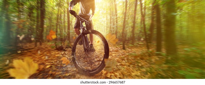 Adventure Biker