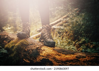 Adventure in hiking boots on fallen log in woods on trekking trail outdoors - Shutterstock ID 2190863097