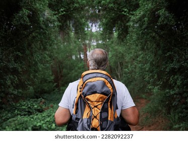 Adventure, hiking and senior man in a forest or woods and walking in nature for exercise, workout or fitness. Travel, adventure and back view of elderly male person trekking to explore the outdoors - Powered by Shutterstock