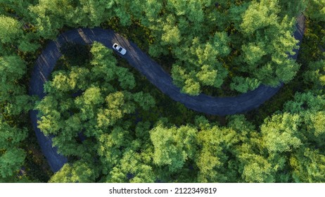 Adventure morning road trip in the forest, aerial view of a car on deep jungle road. On The Road Again concept. - Shutterstock ID 2122349819