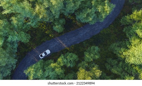 Adventure morning road trip in the forest, aerial view of a car in jungle road. On The Road Again concept and adventure travel background.