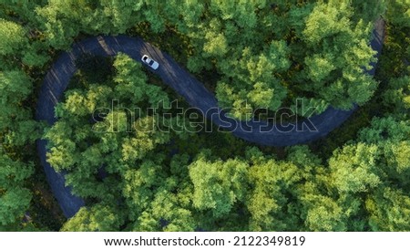 Adventure morning road trip in the forest, aerial view of a car on deep jungle road. On The Road Again concept.