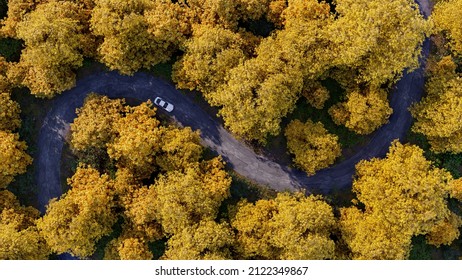 Adventure road trip in the beautiful autumn forest , aerial view of a car on deep jungle road. On The Road Again concept.