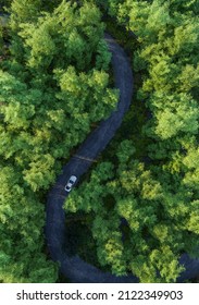 Adventure road trip in the forest, aerial view of a car in forest at trail road copy space. On The Road Again concept. 