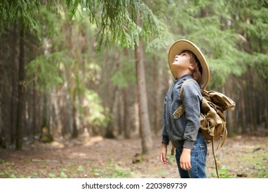 Adventure and wanderlust. An active boy in pith helmet with a backpack stands in a summer pine forest and looks curiously up. Copy space. - Powered by Shutterstock