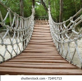 Adventure wooden rope suspension bridge in jungle rainforest