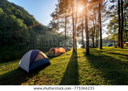 Adventures Camping and tent under the pine forest near water outdoor in morning and sunset at Pang-ung, pine forest park , Mae Hong Son, North of Thailand, forest background. Concept Travel
