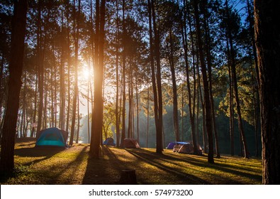 Adventures Camping tourism and tent under the view pine forest landscape near water outdoor  in morning and sunset sky at Pang-ung, pine forest park , Mae Hong Son,  Thailand. Concept Travel.
