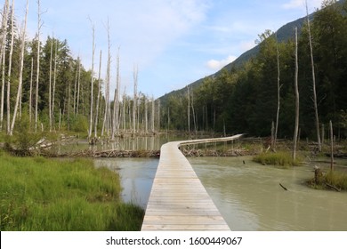 Adventures Of The Chilkoot Trail