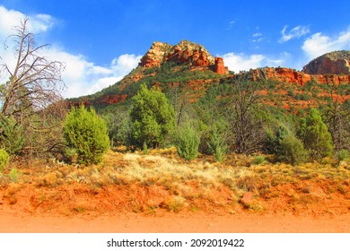 Adventures Through The Sedona Desert