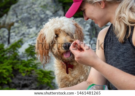 Adventurous Blonde Caucasian Woman Hiker is spending time with her Dog in the nature. Taken in West Vancouver, British Columbia, Canada.