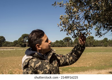 Adventurous boy observing tree leaves in a natural environment with camouflage jacket.
