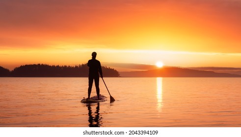 Adventurous Caucasian Adult Woman On A Stand Up Paddle Board Is Paddling On The West Coast Of Pacific Ocean. Sunny Sunrise Sky Art Render. Victoria, Vancouver Island, BC, Canada.