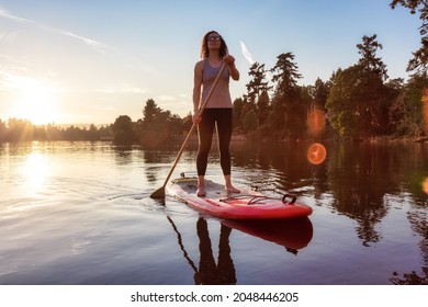 Adventurous Caucasian Adult Woman Paddling On A Stand Up Paddle Board In Water At A City Park. Sunny Sunset Sky. Gorge Park, Victoria, Vancouver Island, BC, Canada.