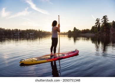 Adventurous Caucasian Adult Woman Paddling On A Stand Up Paddle Board In Water At A City Park. Sunny Sunset Sky. Gorge Park, Victoria, Vancouver Island, BC, Canada.