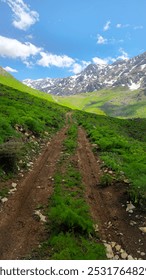 An adventurous dirt path leads through a vibrant green valley towards majestic snow-capped mountains under a clear blue sky.
📍 Hawraman Takht - Uraman takht, Kurdistan province - Iran