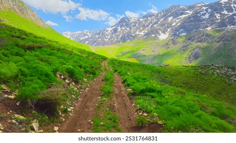 An adventurous dirt path leads through a vibrant green valley towards majestic snow-capped mountains under a clear blue sky.
📍 Hawraman Takht - Uraman takht, Kurdistan province - Iran