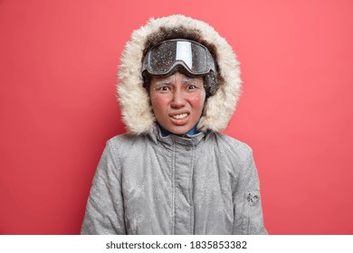 Adventurous Dissatisfied Woman Shivers From Cold Spends Much Time During Heavy Snowstorm Goes Snowboarding Wears Winter Jacket Isolated On Pink Wall. Female Snowboarder Indoor. Leisure Activities