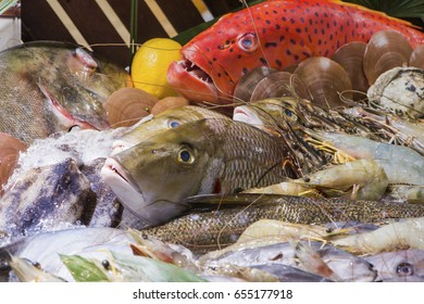 Advertise Concept - Variety Of Fresh Sea Food. Selective Focus
