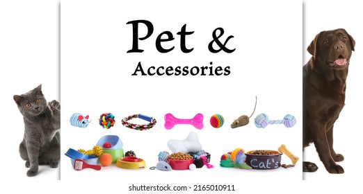 Advertising Banner Design For Pet Shop. Cute Dog, Cat And Different Accessories On White Background