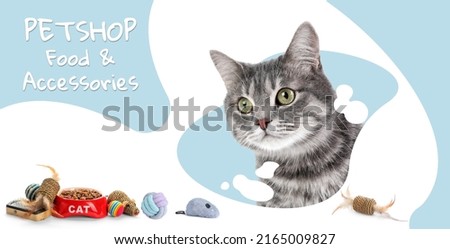 Advertising banner design for pet shop. Cute cat and different accessories on color background