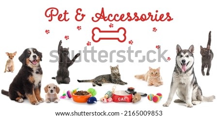 Advertising banner design for pet shop. Cute dogs, cats and different accessories on white background