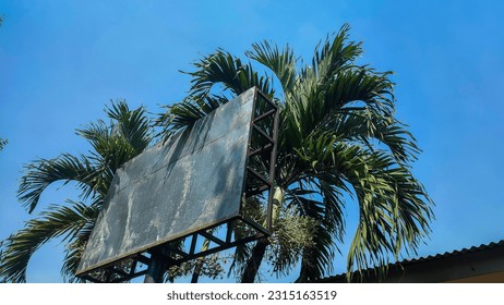 ADVERTISING BETWEEN COCONUT TREES UNDER THE BLUE SKY - Shutterstock ID 2315163519