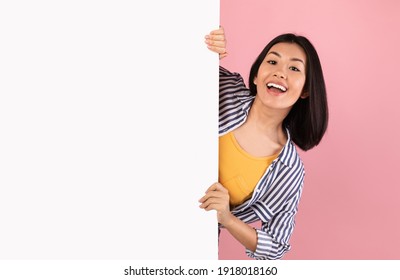 Advertising Billboard. Portrait of excited asian woman hiding behind blank white poster with mockup template and copy space for logo, design or message. Lady peeking out, pink studio wall