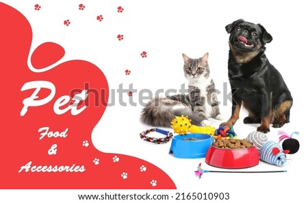 Advertising poster design for pet shop. Cute cat, dog and different accessories on color background